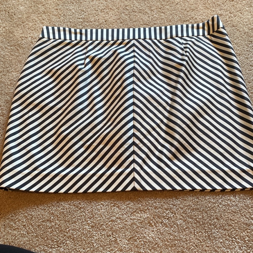 JCrew Skirt - Picture 4 of 6